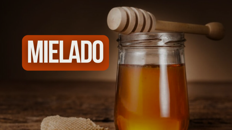 Explore Mielado: A Symphony of Sweetness for Your Recipes